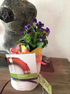 Blumen plus Impulsheft https://down-to-earth.de/allgemein/gemeinde-leben-trotz-corona/?utm_source=ActiveCampaign&utm_medium=email&utm_content=Gemeinde+leben+trotz+Corona&utm_campaign=NL+-+Extra+-+Gemeinde+leben+trotz+Corona